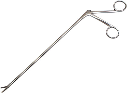 alligatorpensi