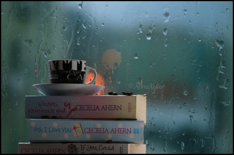rain main essay rain main essay