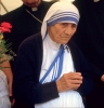rahibe teresa / #302090
