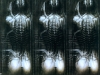 h r giger