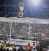 hell in a cell / #288445