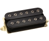 humbucker / #294023