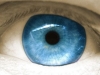 mavi göz