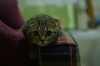 kedi sahibi uludağ sözlük yazarları / #305948