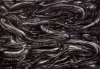 h r giger