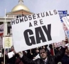 homosexuals are gay / #284510