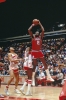 moses malone