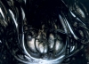 h r giger