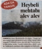17 haziran 2012 heybeliada yangını / #283908