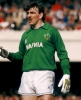 neville southall / #318691