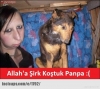 ramazan ayında oruç tutmayanları dövmek / #302313