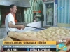 türklerin kusursuz bir millet olması / #312166