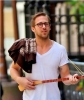 ryan gosling / #302976