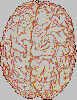 yobaz beyni