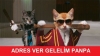 bluevelve yi dövüyoruz kampanyası / #427087