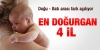 en doğurgan şehrin şanlıurfa olması / #510622