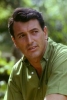 rock hudson / #511673