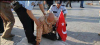türk polisinin kuran ı kerim okuması / #479633