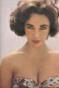 elizabeth taylor / #512430