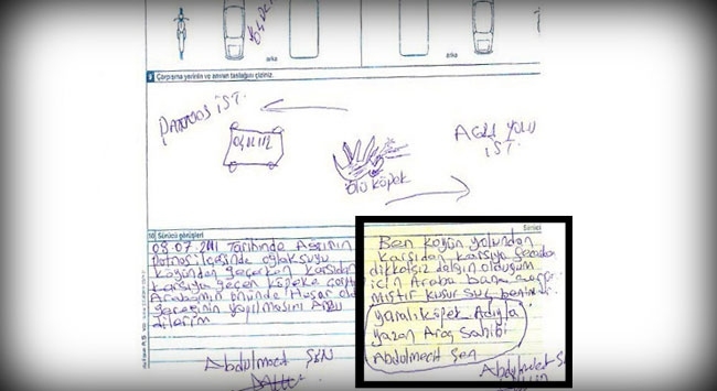 kazada ölen köpek ağzından tutanak tutmak