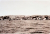 izmir in geçmiş yıllara ait fotoğrafları / #344314