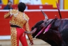 matador olmak isteyenlere tavsiyeler / #438939