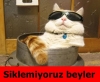 ihanet türklerin genetik mirasıdır / #387118
