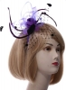 fascinator / #343425