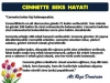cennetliklerin en alt derecesi / #497096