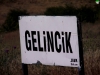 gelincik