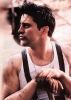 matt leblanc / #435514