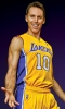 steve nash