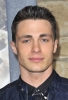 colton haynes