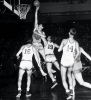 george mikan / #329380