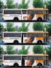 otobüs reklamları