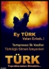 ey türk / #506173