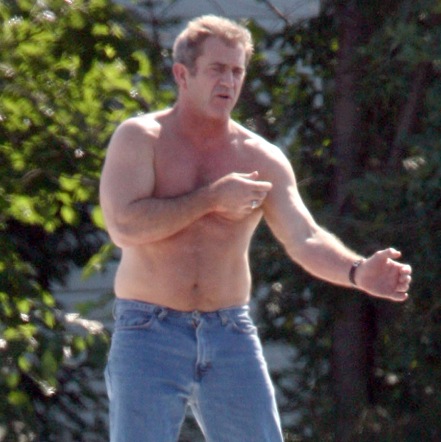 Mel Gibson 2013...
