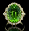 peridot / #516700
