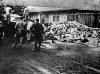 adolf hitler in sivil katliamları / #382198