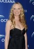 anne heche / #445276