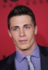 colton haynes