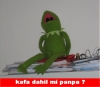 penisi 15 cm den küçük olan erkeğin hadım edilmesi / #393470