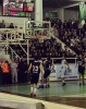 yeşil giresun erkek basketbol takımı / #428058