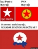 işçi partisi / #431558