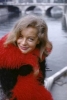 romy schneider / #513299