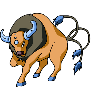 tauros