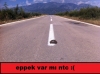 karşıdan karşıya geçen kaplumbağanın amacı / #461310
