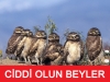 son yüzyılın en iyi başbakanı tayyip erdoğan dır / #484054