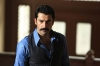 karadayı / #426209