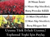 20 nisan 2013 izmir bayrak mitingi